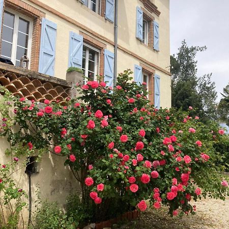 Domaine de Ménerque - petit château avec piscine Lisle-sur-Tarn Exterior foto