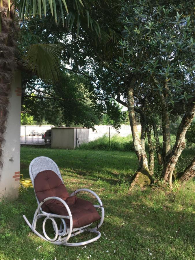 Domaine de Ménerque - petit château avec piscine Lisle-sur-Tarn Exterior foto