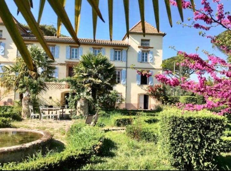 Domaine de Ménerque - petit château avec piscine Lisle-sur-Tarn Exterior foto