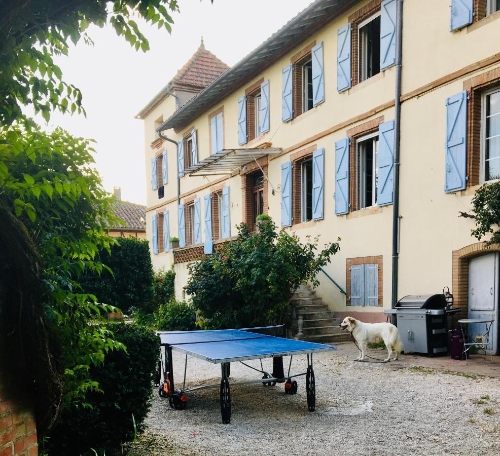 Domaine de Ménerque - petit château avec piscine Lisle-sur-Tarn Exterior foto